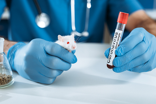 partial view of veterinarian in latex gloves holding white mouse and test tube with coronavirus inscription