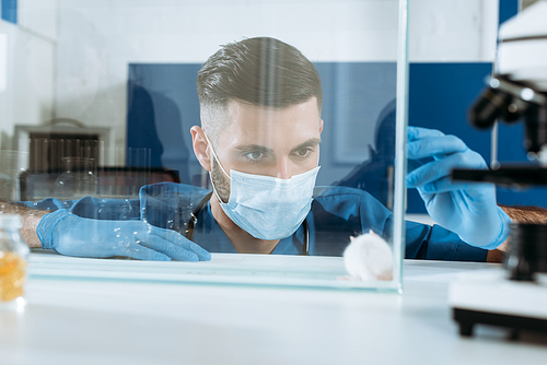 selective focus of biologist in medical mask and latex gloves looking at white mouse in glass box