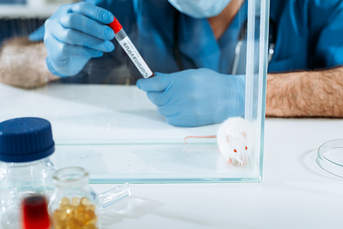 selective focus of white mouse in glass box near veterinarian in latex gloves holding test tube with coronavirus inscription