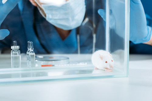 cropped view of veterinarian in medical mask and latex gloves touching glass box with white mouse near ampules and containers with medicines