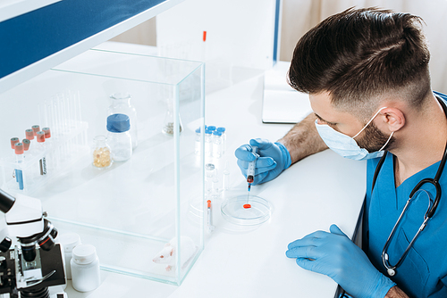 high angle view of veterinarian in medical mask and latex gloves holding syringe near petri dish with blood sample, and white mouse in glass box