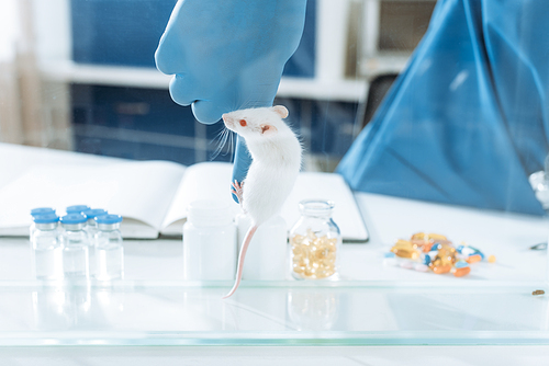 cropped view of veterinarian in latex gloves with white mouse on his finger near glass containers with medicines