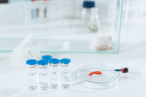 selective focus of glass containers with medicines, syringe and petri dish with blood sample near mouse in glass box