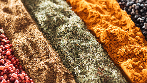 close up view of traditional various indian spices in rows