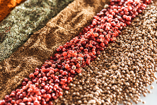 close up view of traditional aromatic indian spices in rows