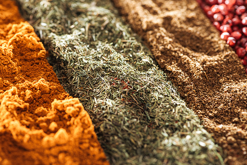 close up view of various aromatic traditional indian spices