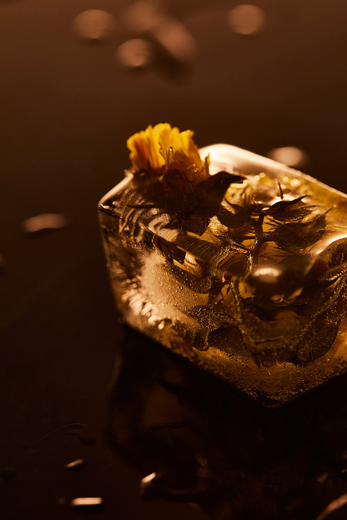 transparent ice cube with frozen flower on yellow illuminated background