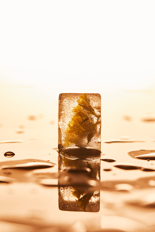 transparent ice cube with frozen flower on yellow illuminated background