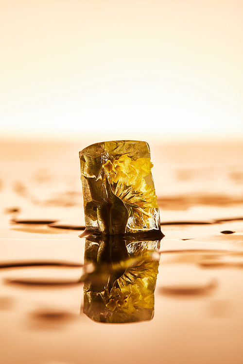 pure ice cube with frozen flower on yellow illuminated background