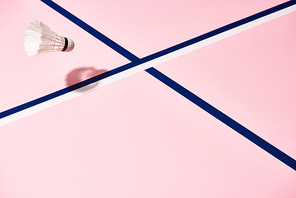 Badminton shuttlecock on pink surface with blue lines