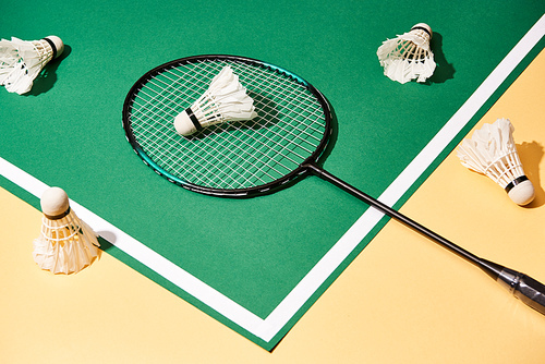 High angle view of badminton racket and shuttlecocks on green and yellow background