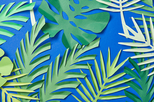 top view of green paper cut exotic leaves on blue background