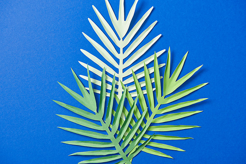 top view of green paper cut exotic leaves on blue background
