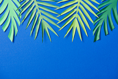 top view of green paper cut exotic leaves on blue background with copy space