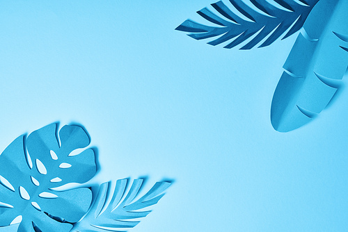 top view of blue paper cut palm leaves on blue background with copy space