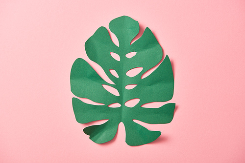 top view of green palm leaf on pink background with copy space