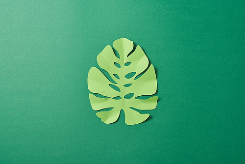 top view of tropical paper cut palm leaf on green background with copy space