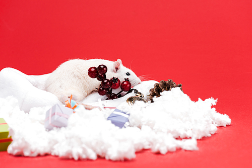 selective focus of small mouse on santa hat near presents and red berries isolated on red