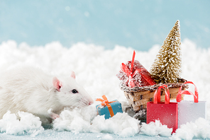 rat and wicker sled with christmas tree and gift boxes in New Year