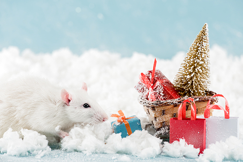 rat and wicker sled with christmas tree and gift boxes in New Year