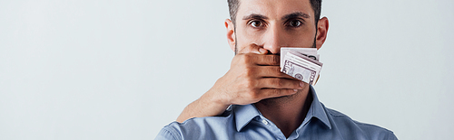 Panoramic shot of male hand holding dollars and covering mouth to man isolated on grey