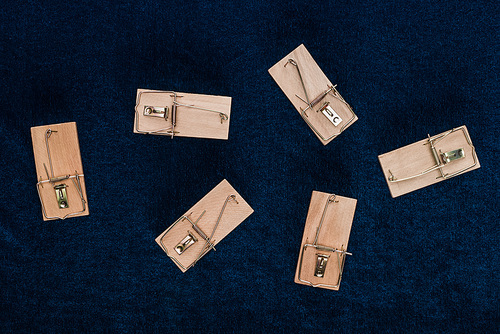 top view of wooden mousetraps on blue background