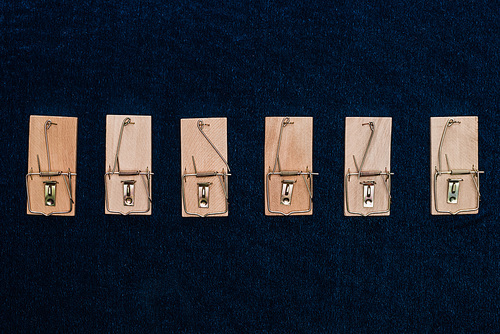 top view of wooden mousetraps in line on blue background