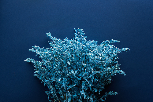 top view of painted plant on blue background