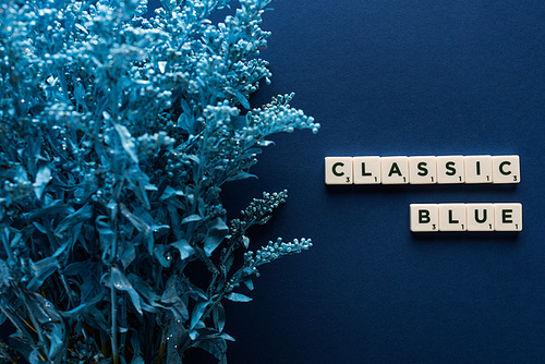 top view of classic blue lettering on cubes near painted plant on blue background
