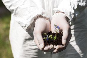 partial view of ecologist in latex gloves holding handful of soil with dayflowers