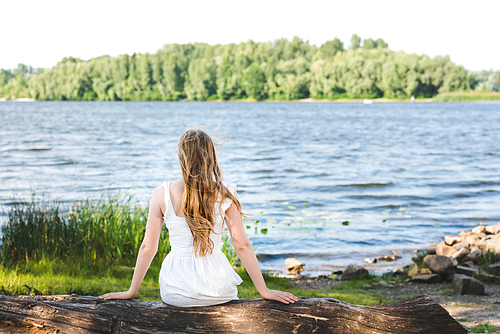 back view of girl sitting on trunk of tree on river shore and looking away