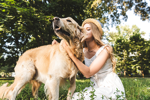 beautiful girl in white dress and straw hat petting golden retriever
