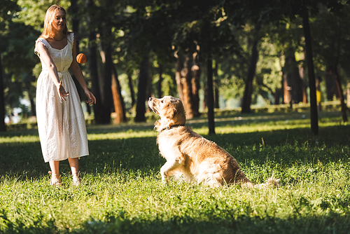 full length view of beautiful girl in white dress playing with golden retriever on meadow