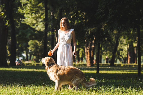 full length view of beautiful young girl in white dress playing with golden retriever on meadow