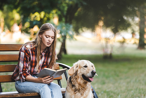 beautiful girl in casual clothes sitting on wooden bench in park and reading book near golden retriever