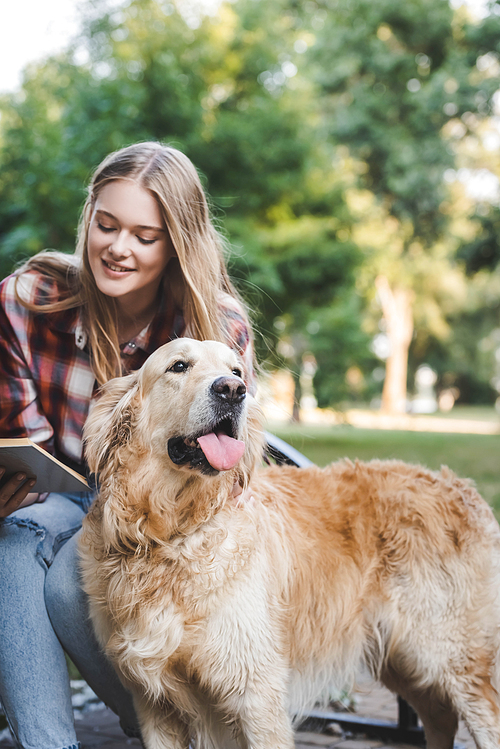 beautiful young girl in casual clothes reading book and petting golden retriever while sitting on wooden bench in park