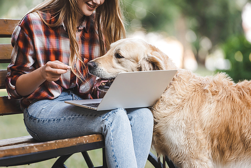 cropped view of girl in casual clothes using laptop while golden retriever disturbing woman