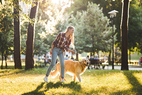 full length view of beautiful girl in casual clothes walking with golden retriever on meadow in sunlight