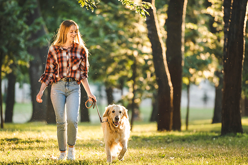 full length view of girl in casual clothes walking with golden retriever on meadow in sunlight