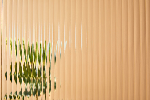 blurred view of green plant behind reed glass isolated on beige