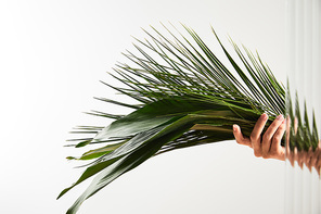 cropped view of woman holding palm tree and big green leaves on white background behind reed glass