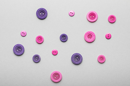 top view of pink and violet clothing buttons isolated on grey