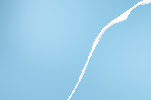 fresh flowing white milk isolated on blue