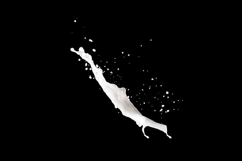 fresh white milk splash isolated on black