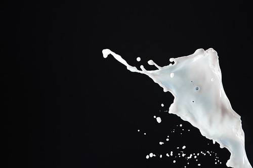 fresh white milk splash isolated on black