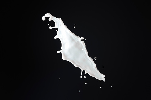 fresh white milk splash isolated on black