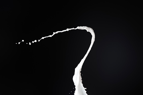 fresh white milk splash with drops isolated on black