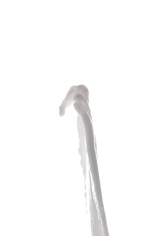 fresh white milk splash isolated on white