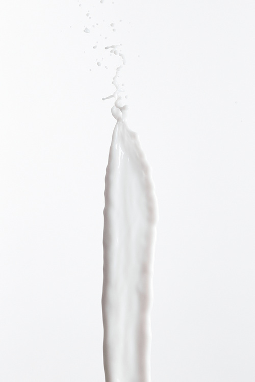 pure fresh white milk splash isolated on white