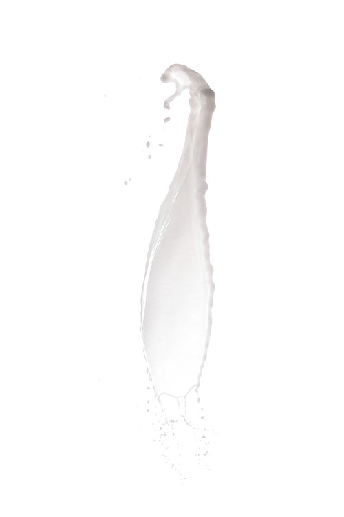 pure fresh white milk splash with drops isolated on white